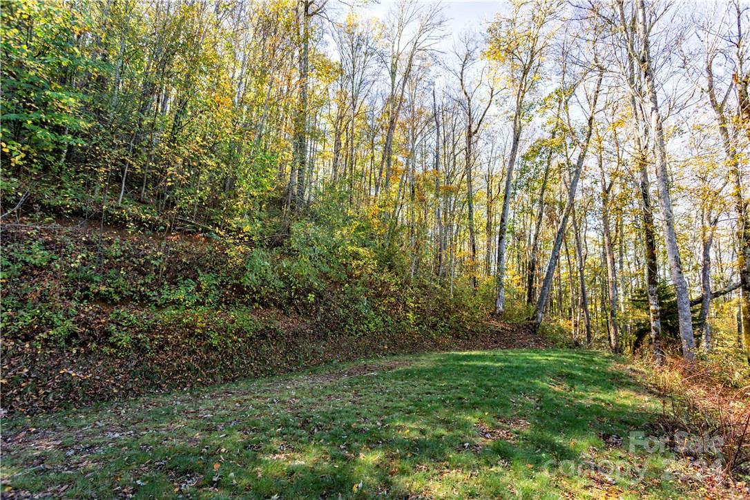 0000 Big Spring Trail 65 Property Photo 12