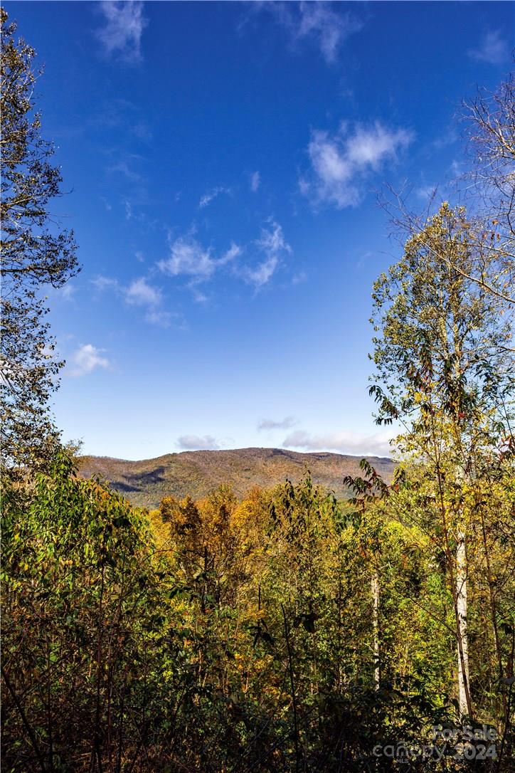 0000 Big Spring Trail 65 Property Photo 13