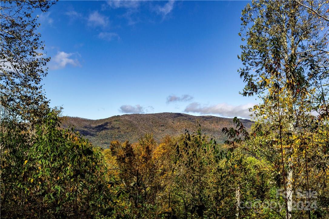 0000 Big Spring Trail 65 Property Photo 14