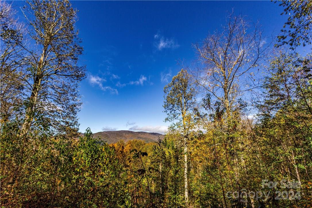 0000 Big Spring Trail 65 Property Photo 15