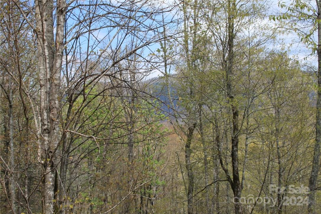 0000 Big Spring Trail 65 Property Photo 16