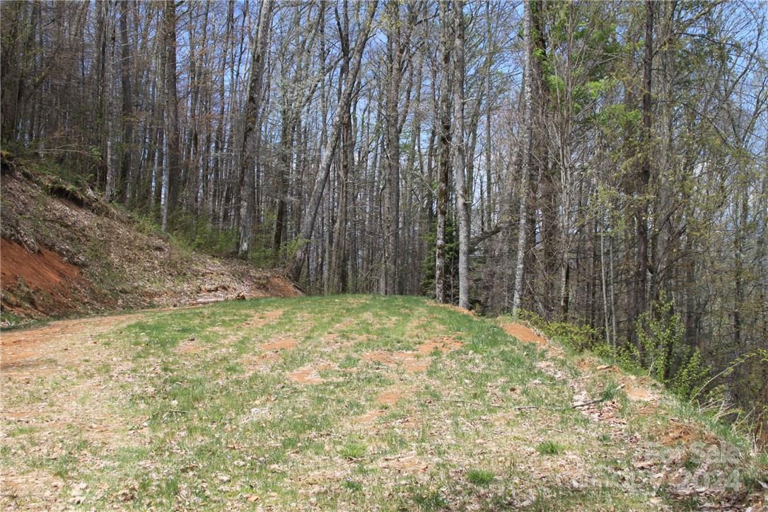 0000 Big Spring Trail 65 Property Photo 17