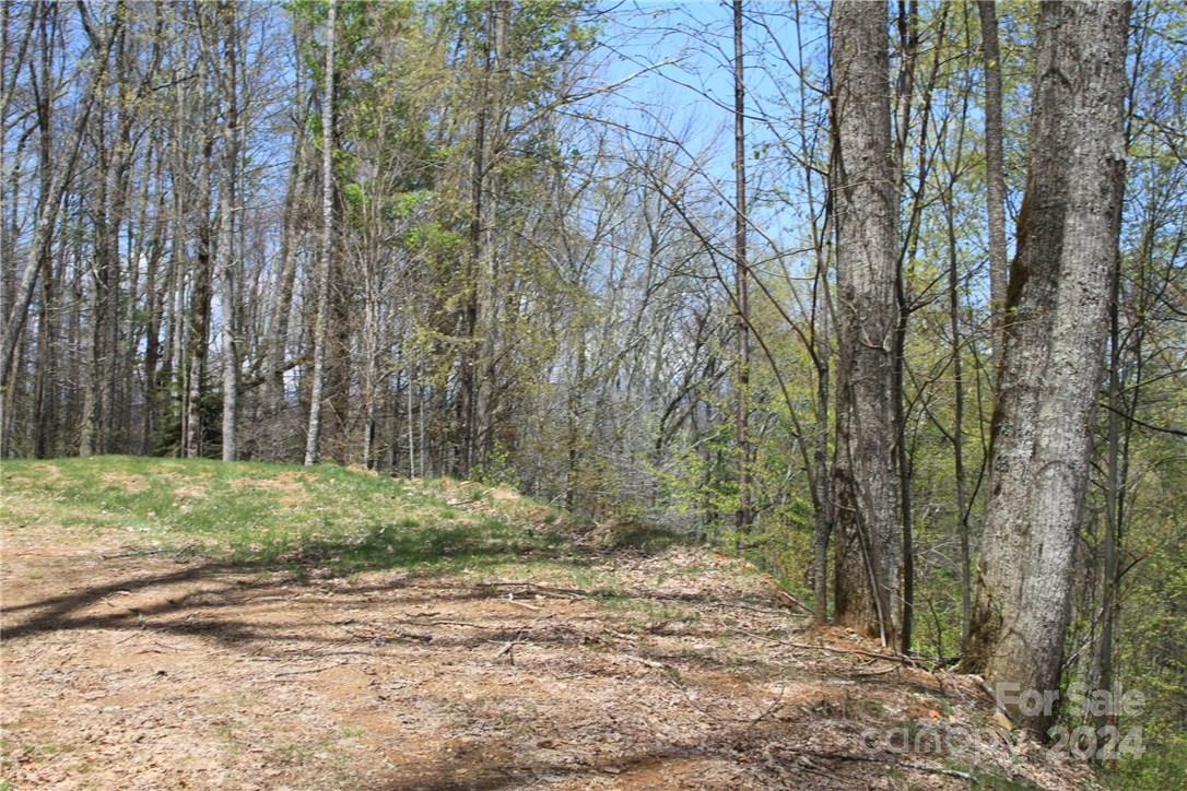 0000 Big Spring Trail 65 Property Photo 18