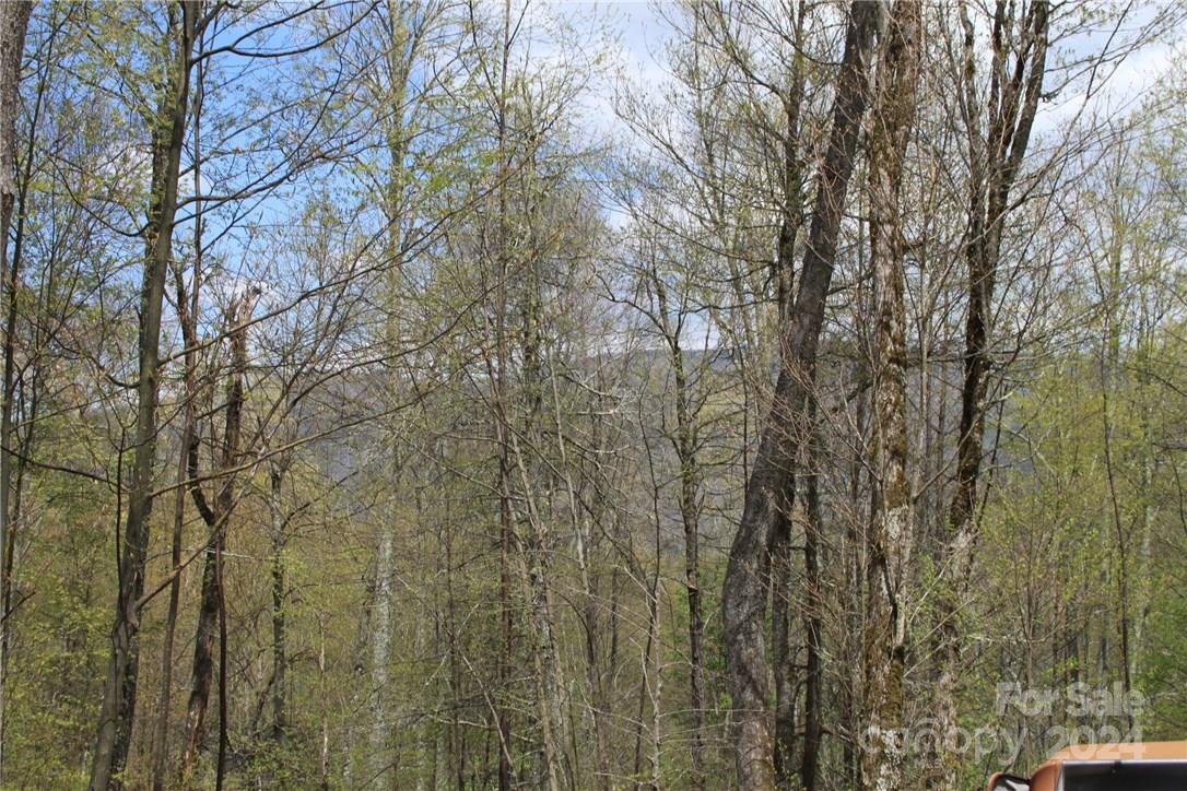 0000 Big Spring Trail 65 Property Photo 19