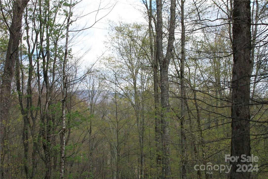 0000 Big Spring Trail 65 Property Photo 20