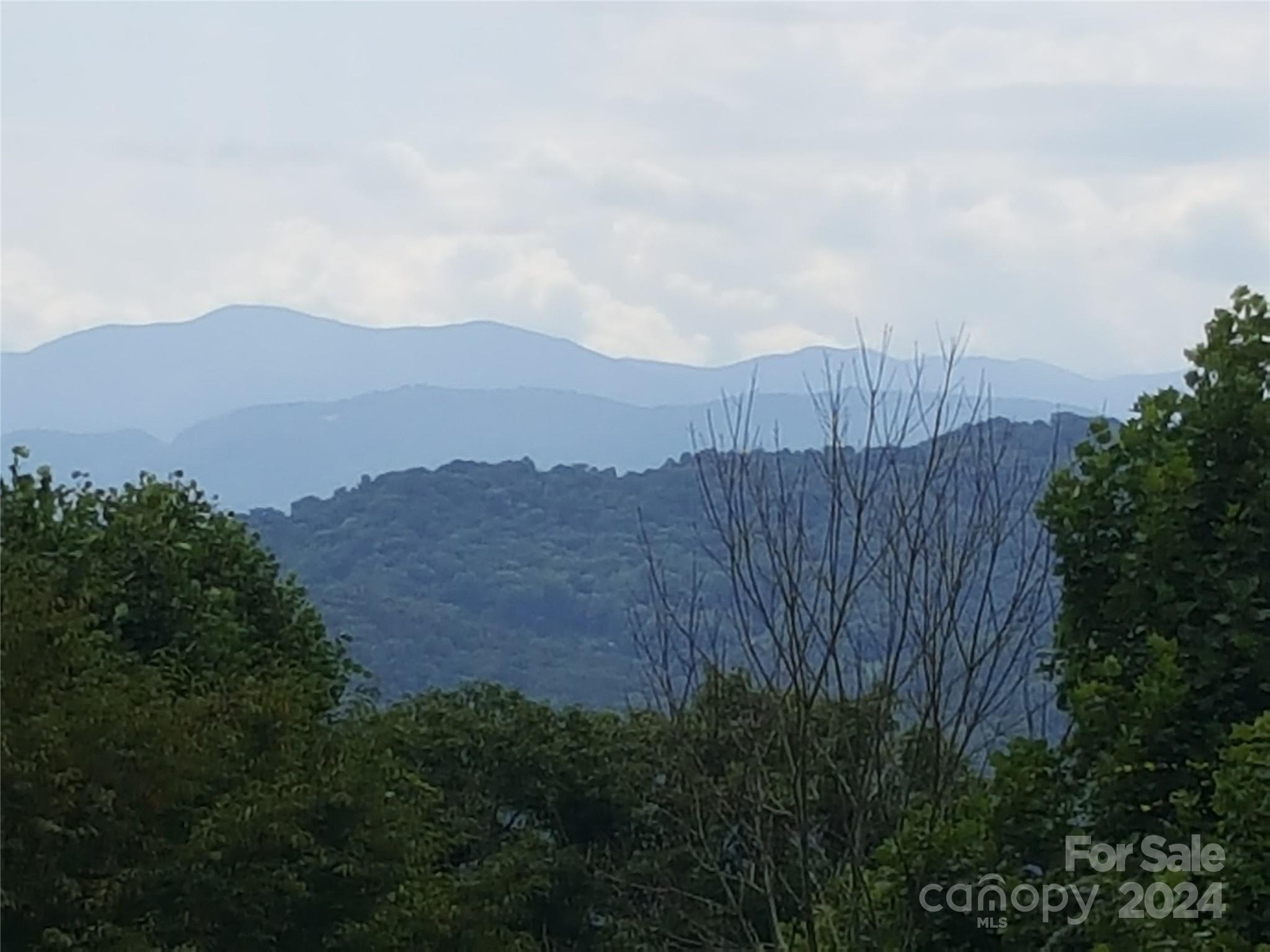102 Amber Sky Drive Property Photo 1