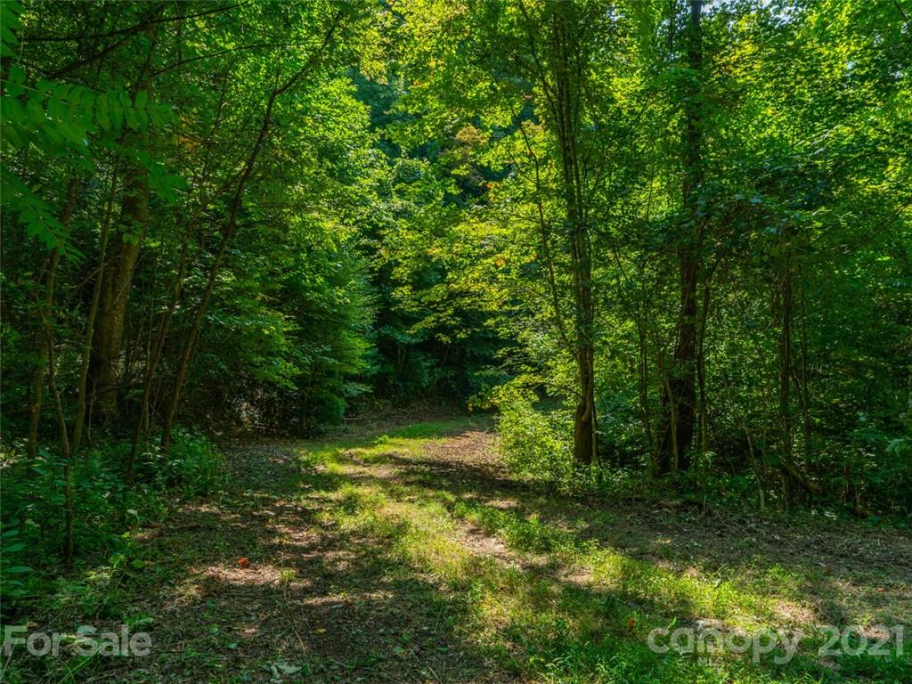 000 Meadow Fork School Road Property Photo 3