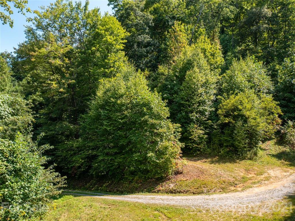 000 Meadow Fork School Road Property Photo 4