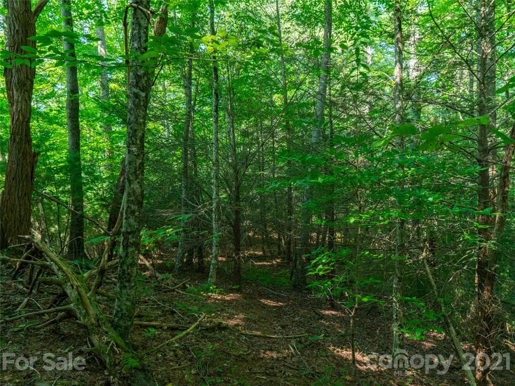 000 Meadow Fork School Road Property Photo 5