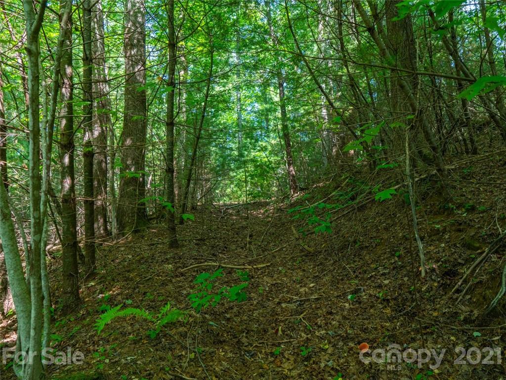 000 Meadow Fork School Road Property Photo 7
