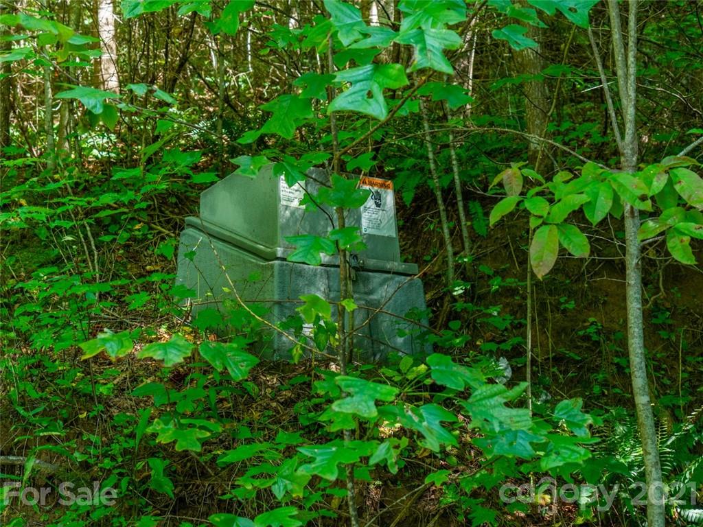 000 Meadow Fork School Road Property Photo 8