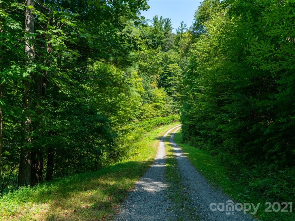 000 Meadow Fork School Road Property Photo 9