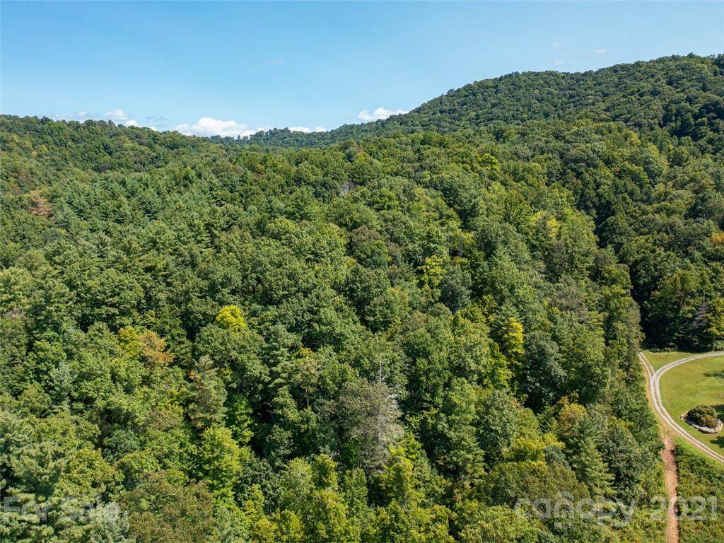 000 Meadow Fork School Road Property Photo 11