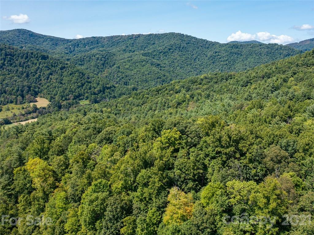 000 Meadow Fork School Road Property Photo 13