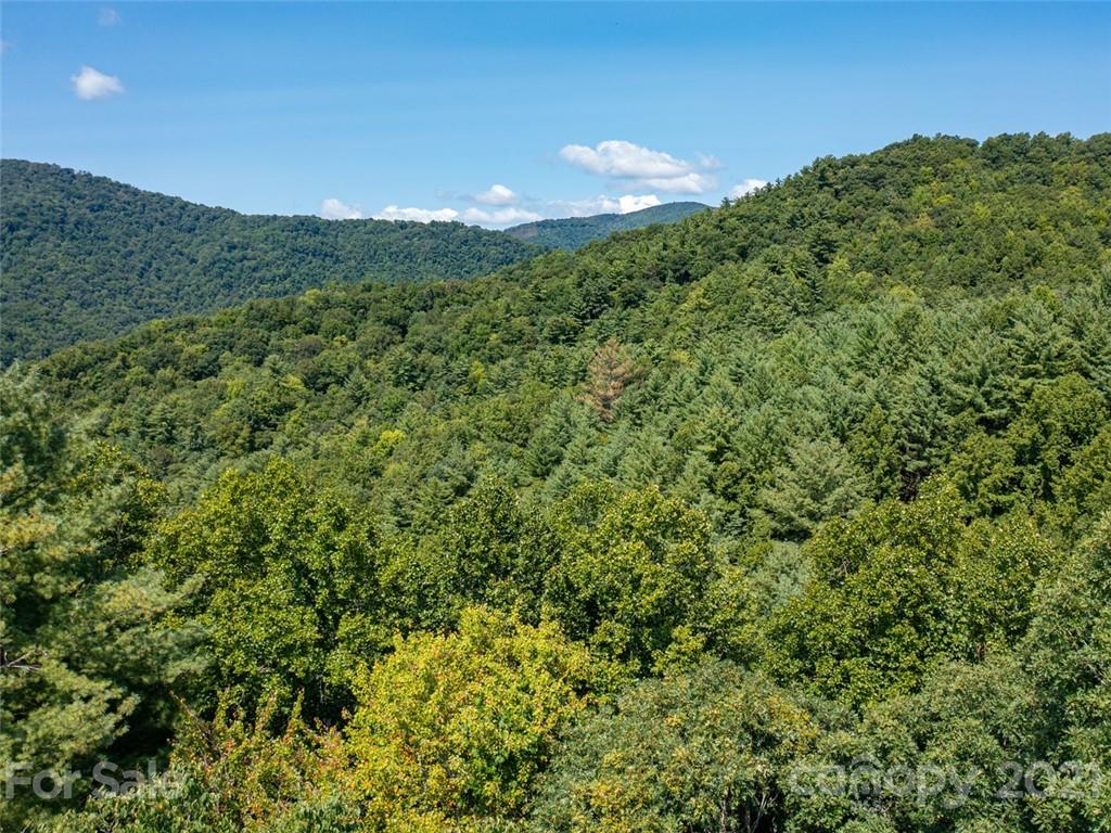 000 Meadow Fork School Road Property Photo 14