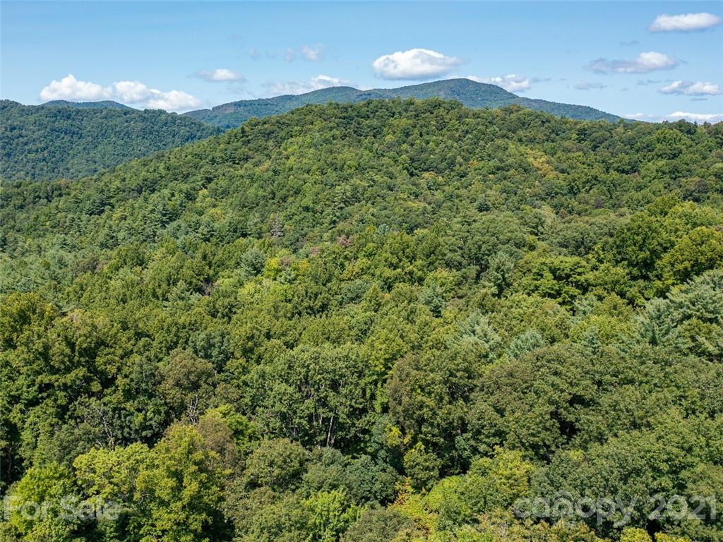000 Meadow Fork School Road Property Photo 16