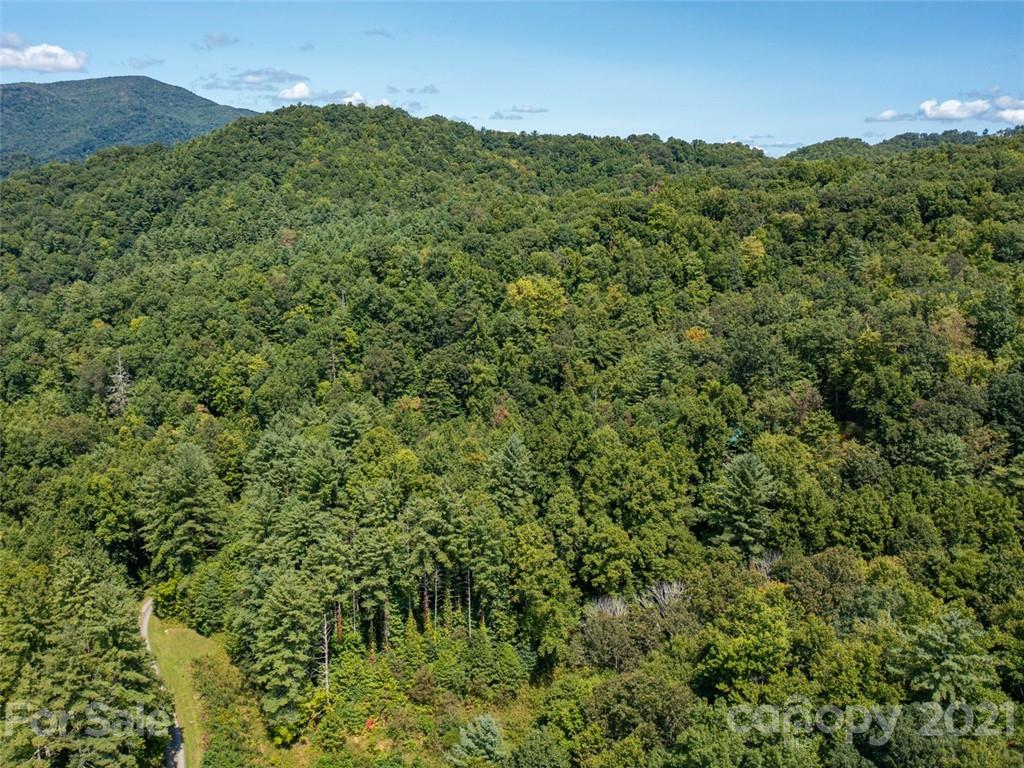 000 Meadow Fork School Road Property Photo 19