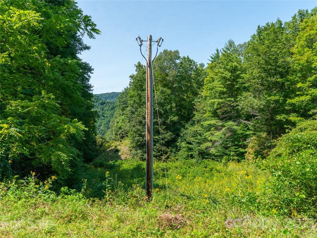 000 Meadow Fork School Road Property Photo 22