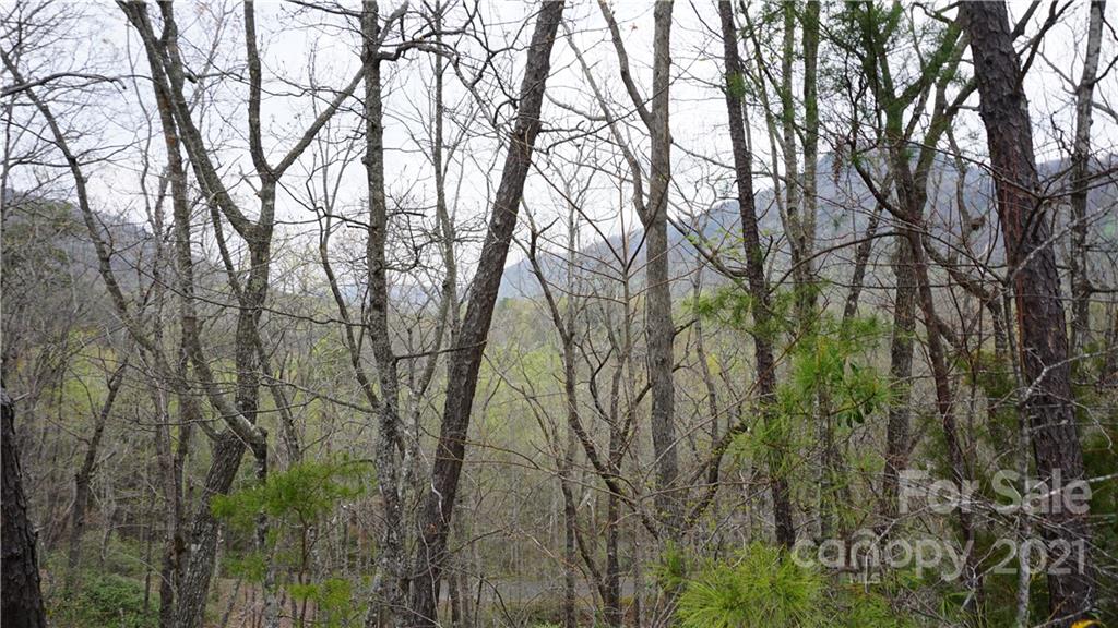 000 Watership Road Property Photo 1