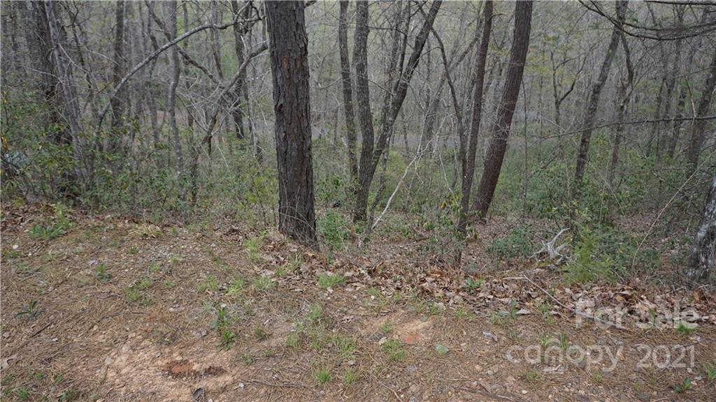 000 Watership Road Property Photo 3