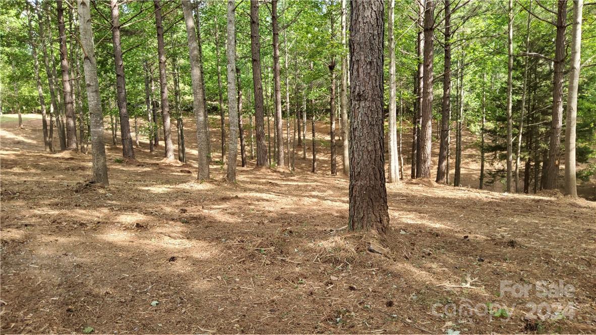 0 Hearthstone Drive 2 Property Photo 1
