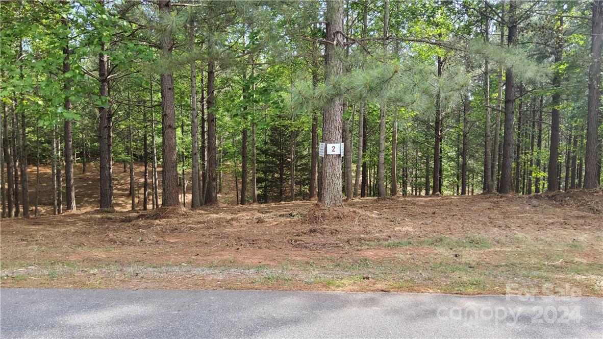 0 Hearthstone Drive 2 Property Photo 3