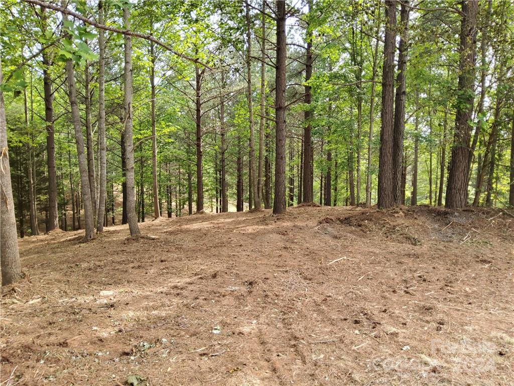 0 Hearthstone Drive 2 Property Photo 6