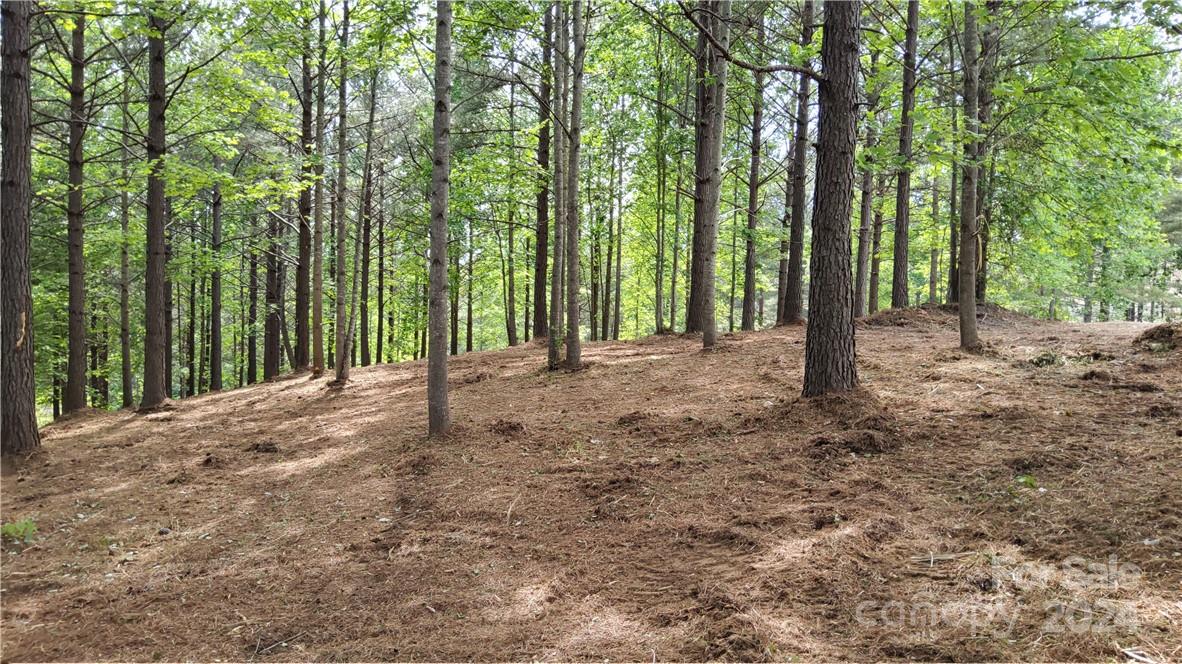0 Hearthstone Drive 2 Property Photo 8