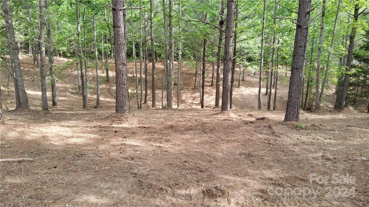 0 Hearthstone Drive 2 Property Photo 10