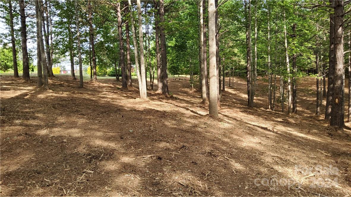 0 Hearthstone Drive 2 Property Photo 11