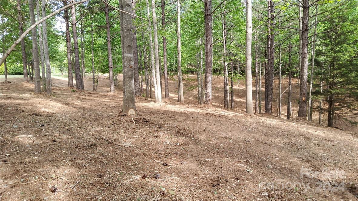 0 Hearthstone Drive 2 Property Photo 13