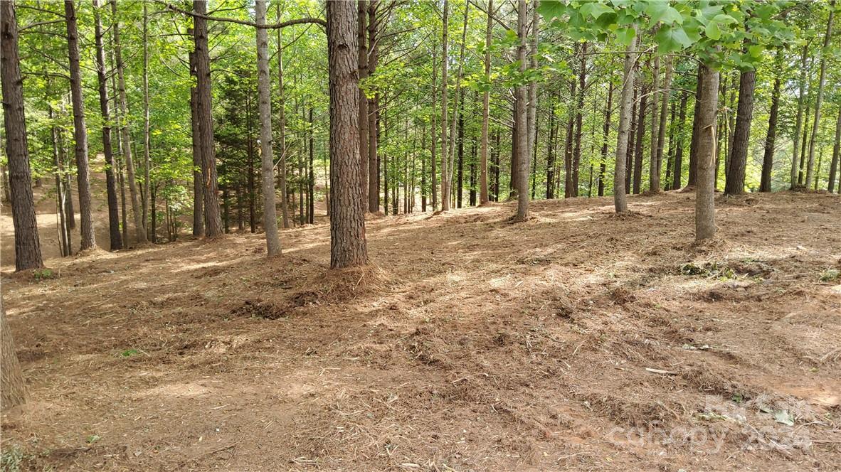 0 Hearthstone Drive 2 Property Photo 14