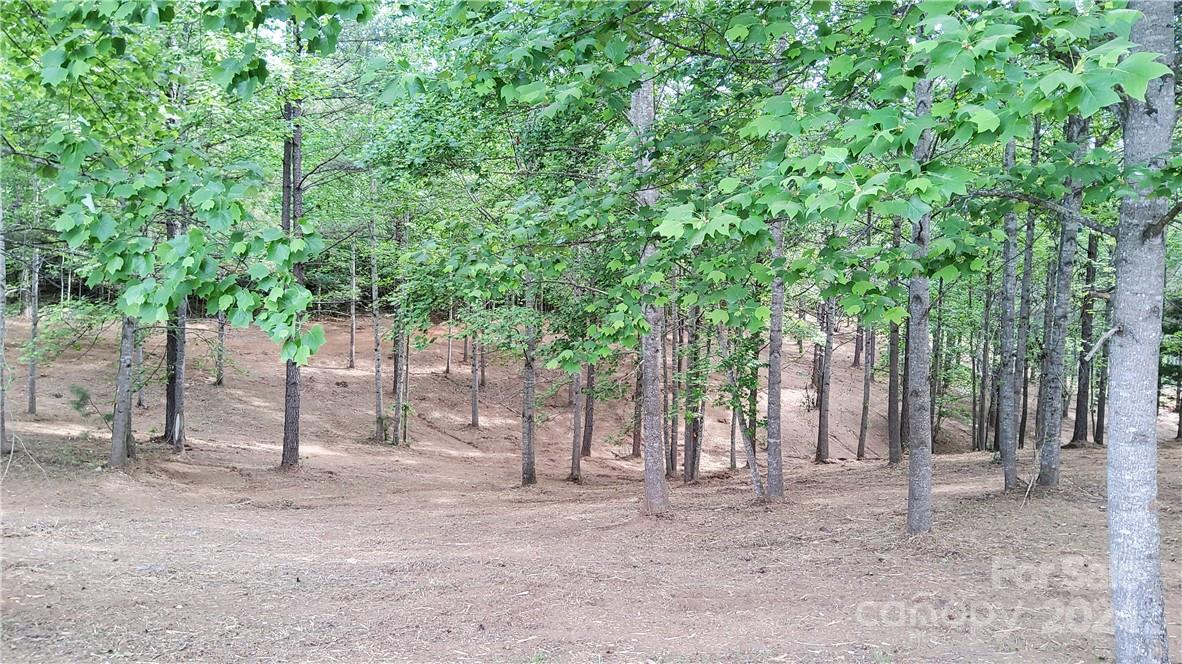 0 Hearthstone Drive 2 Property Photo 15