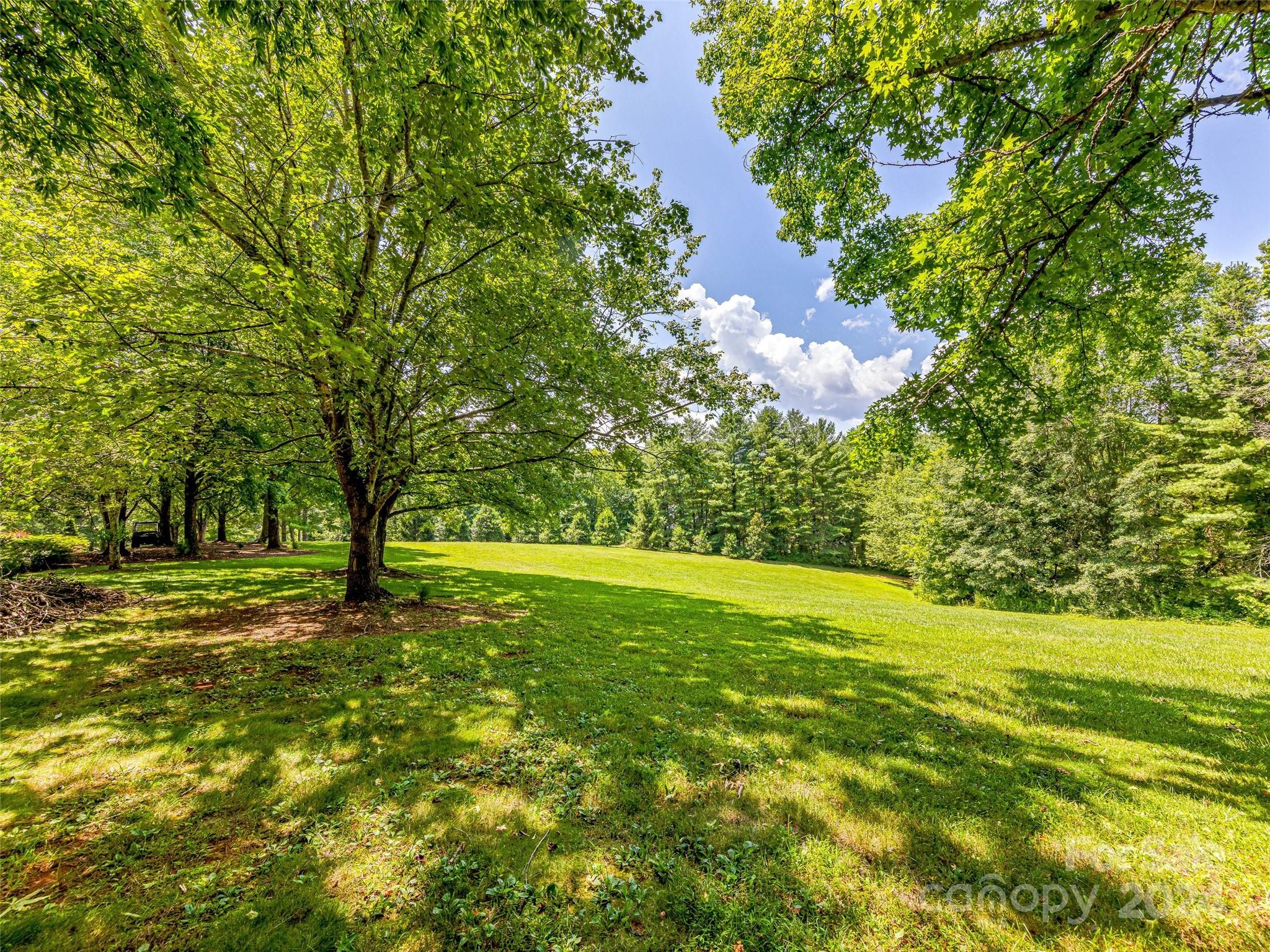 703 Crestview Drive Property Photo 22