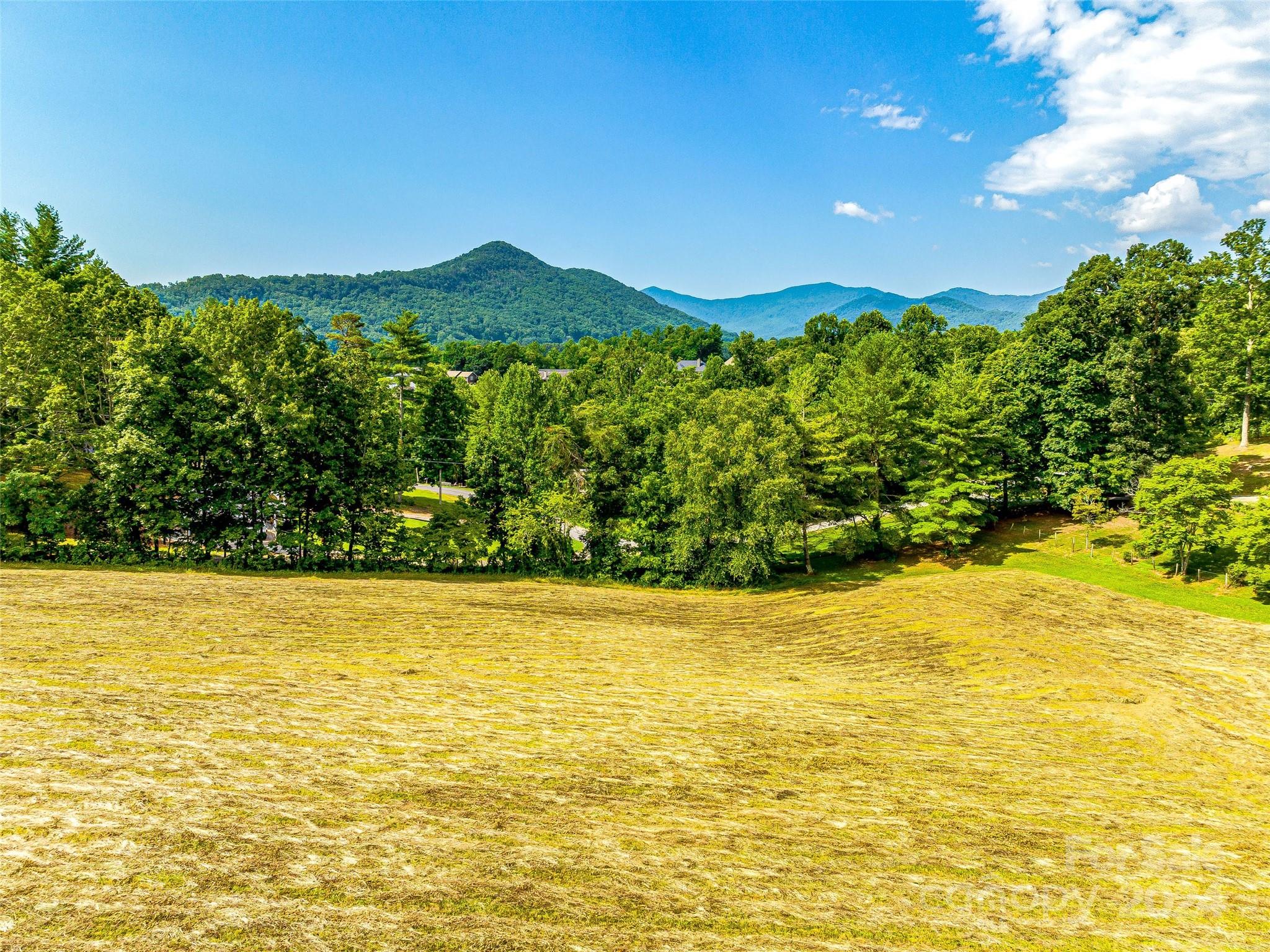 703 Crestview Drive Property Photo 43