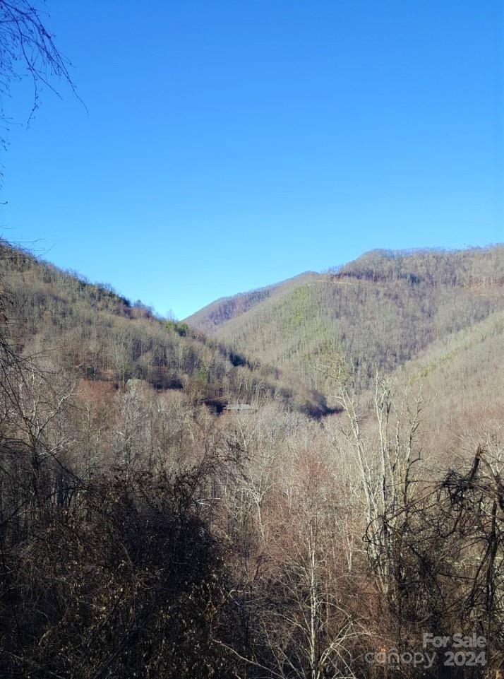 0 Soco Road Property Photo