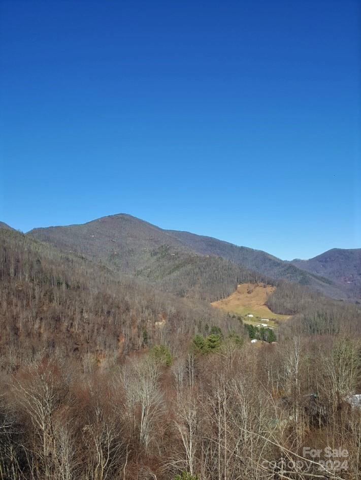 0 Soco Road Property Photo 2