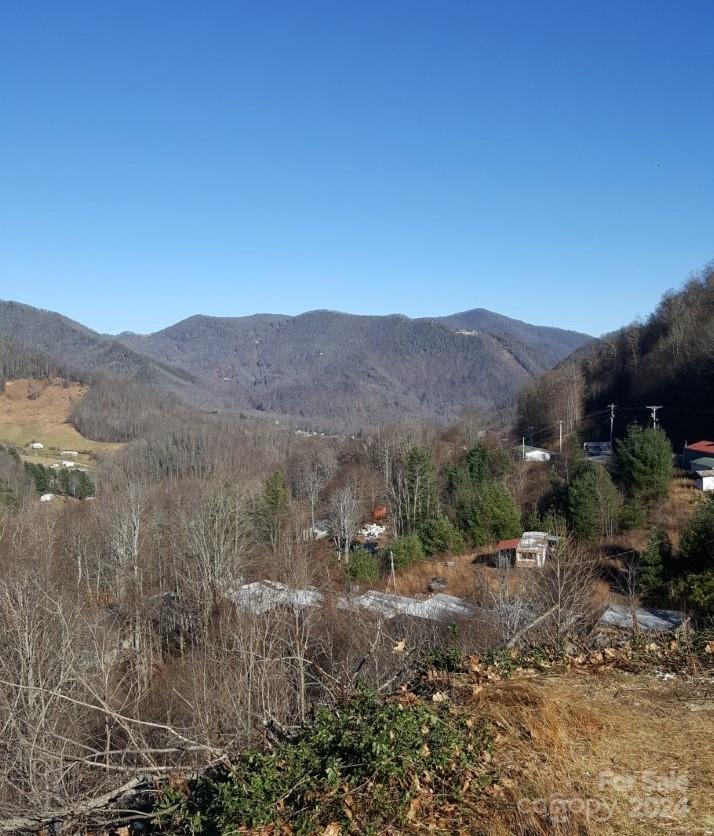 0 Soco Road Property Photo 4