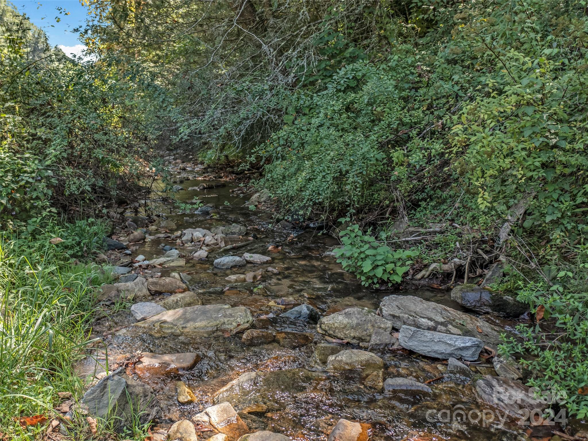 00 Brummetts Creek Road Property Photo 14