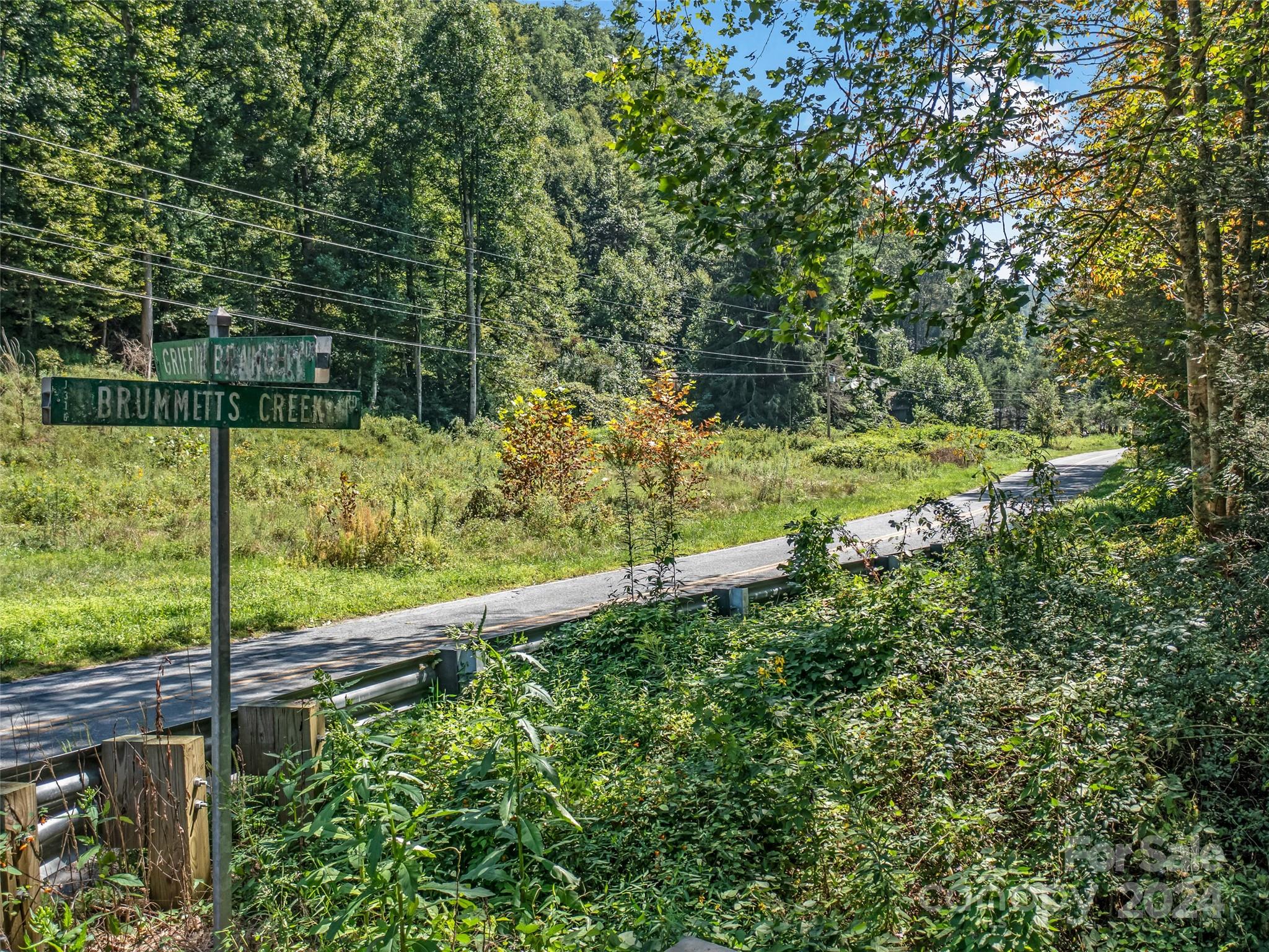 00 Brummetts Creek Road Property Photo 15