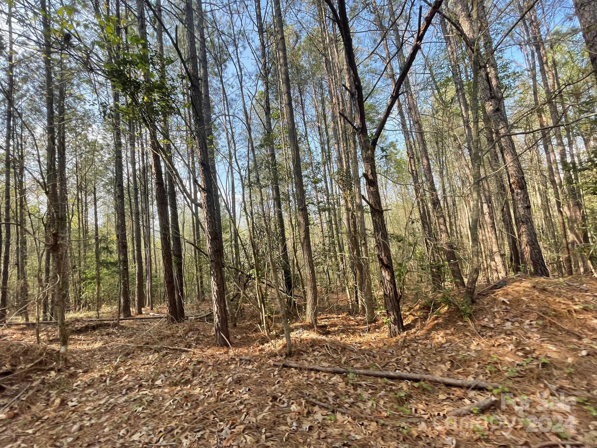 0 Dry Creek Road Property Photo 3