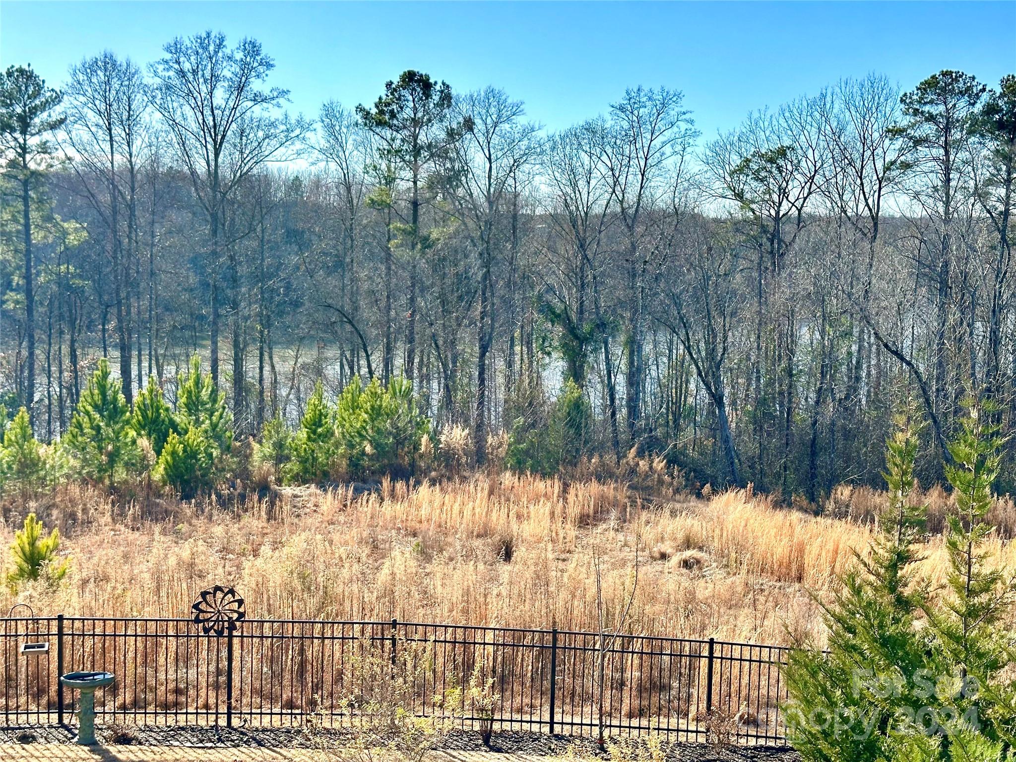 2191 Hanging Rock Road Property Photo 32