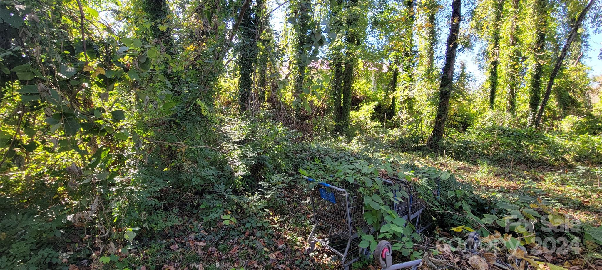 442 Folk Street Property Photo 1