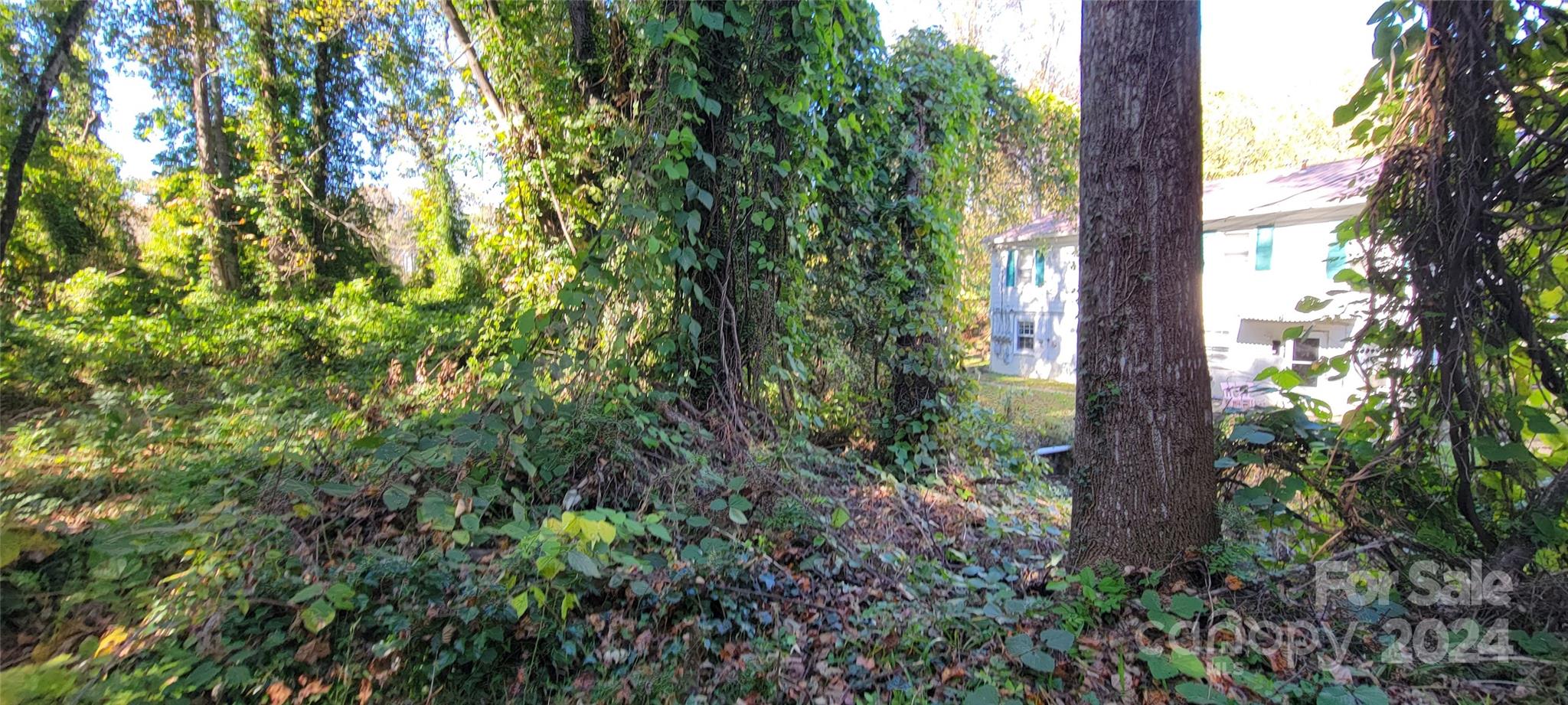 442 Folk Street Property Photo 12