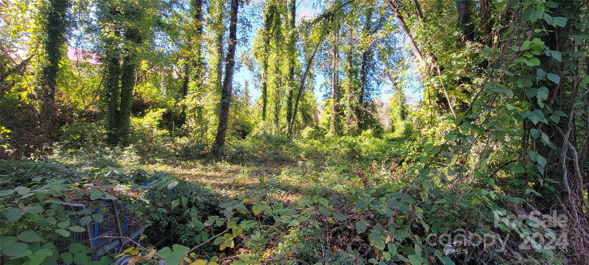 442 Folk Street Property Photo 13
