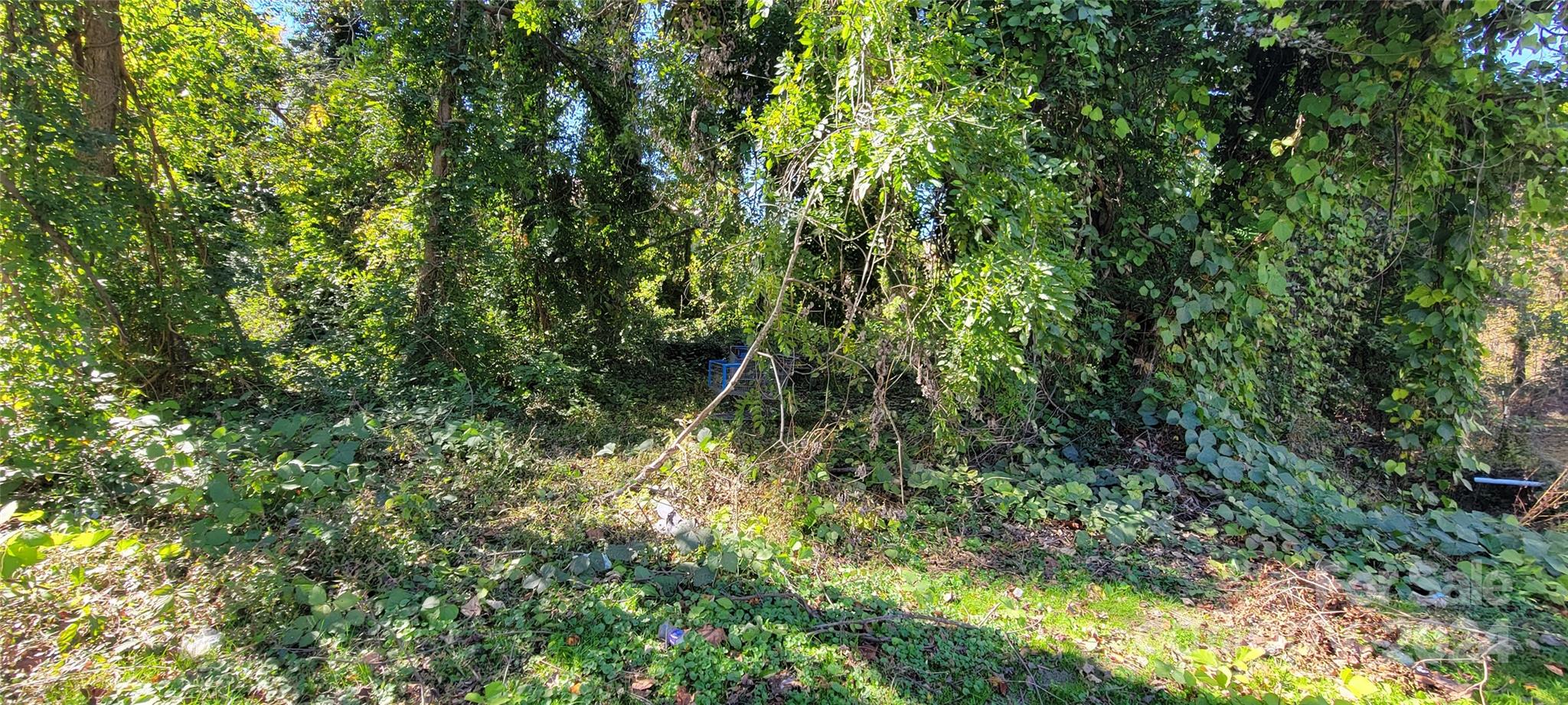 442 Folk Street Property Photo 14