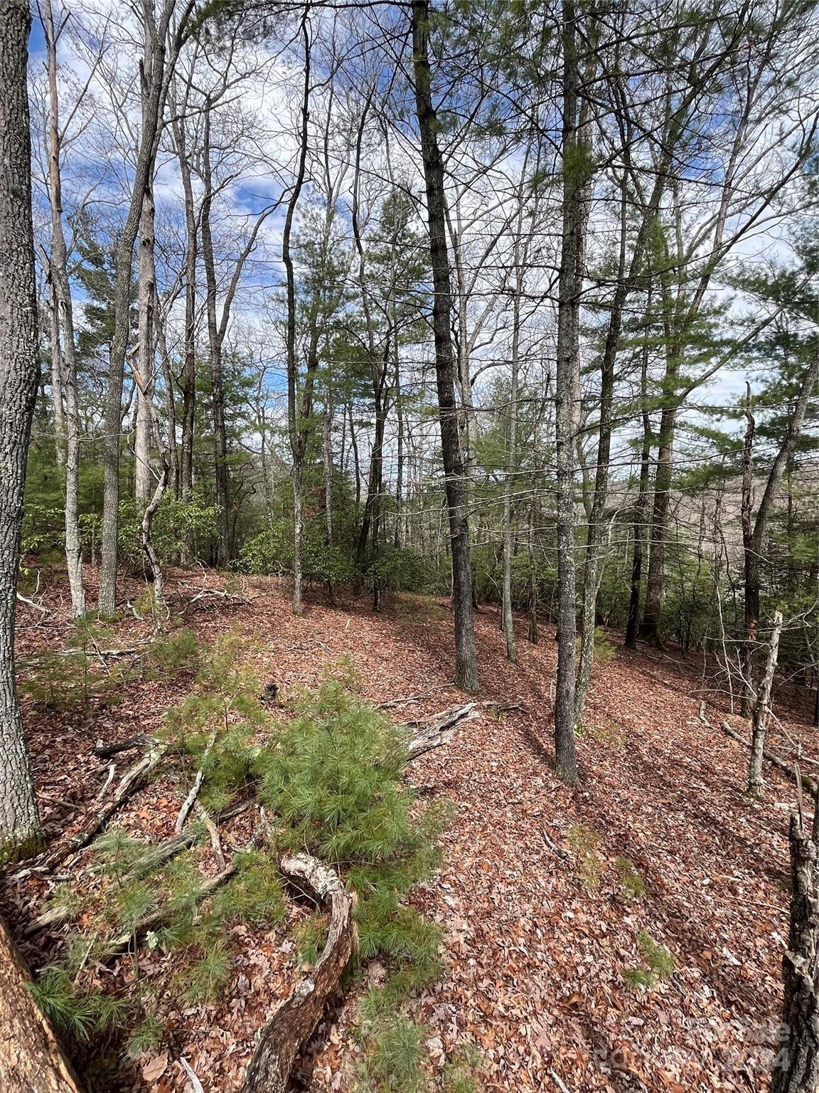 9 French Broad Overlook Lot 3 Property Photo