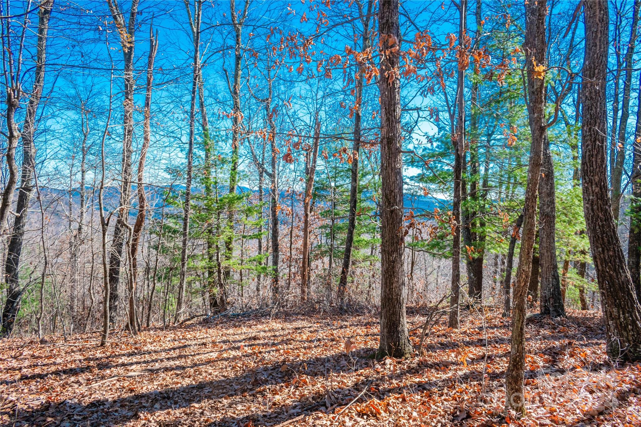 99999 Mount Olivet Road Property Photo