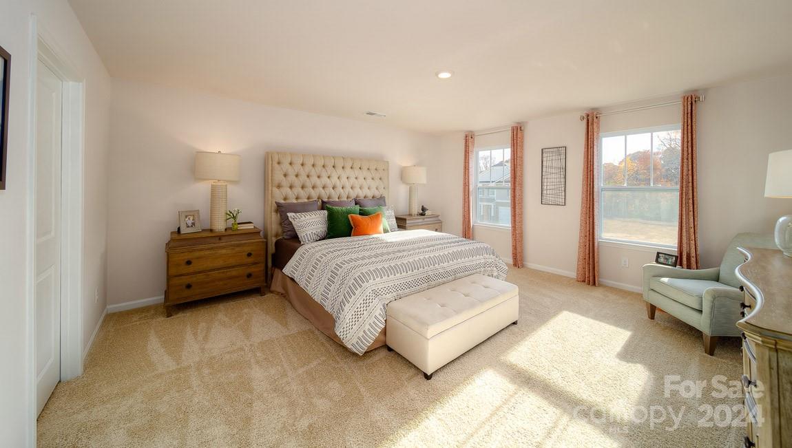 87 Dandelion Road Property Photo 19
