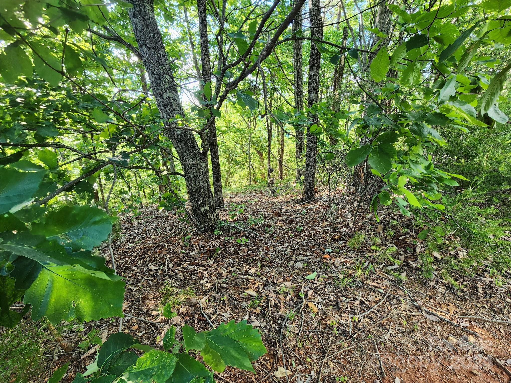 30 Mountain Lookout Drive Property Photo